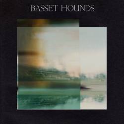 Basset Hounds : Basset Hounds Demo
